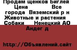 Продам щенков Биглей › Цена ­ 15 000 - Все города, Вяземский р-н Животные и растения » Собаки   . Ненецкий АО,Андег д.